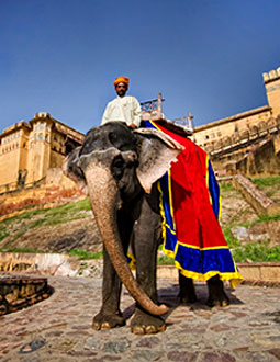 Amer Fort, Jaipur