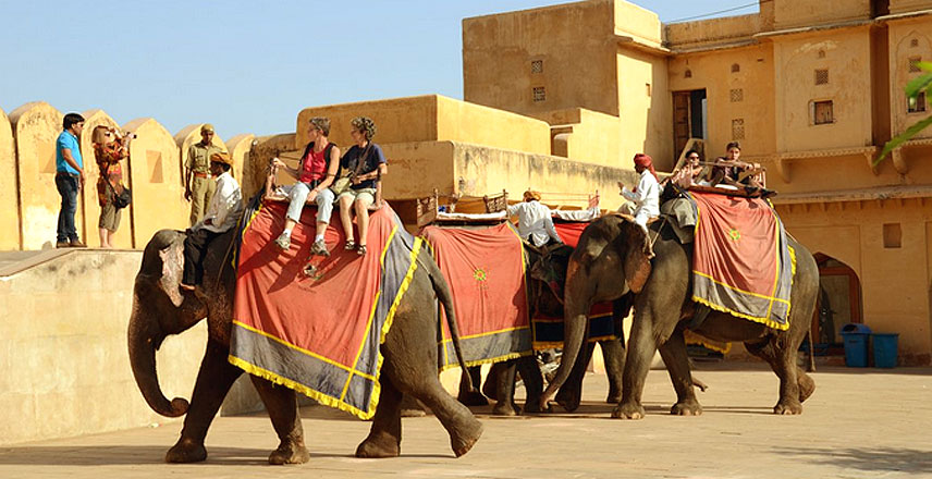 Amer Fort, Jaipur