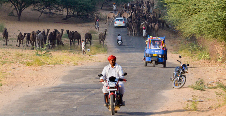 Pushkar, Rajasthan